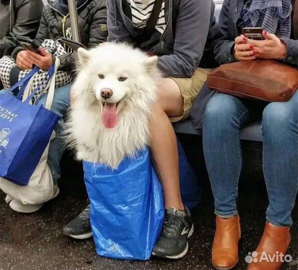 2 шт Фракта сумка 71 л и 36л