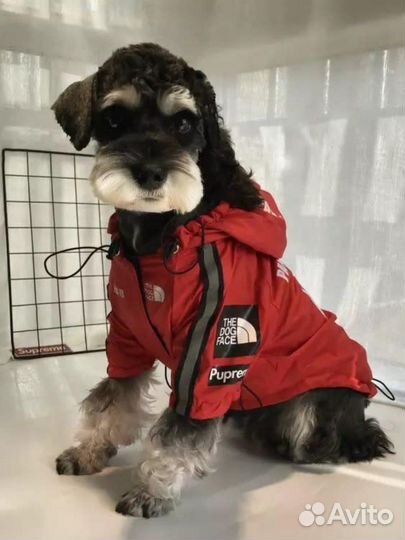 Дождевики для собак