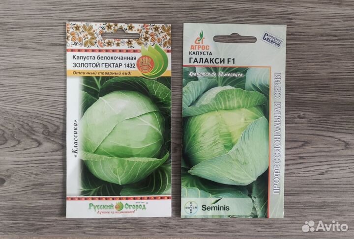 Семена капусты белокочанной