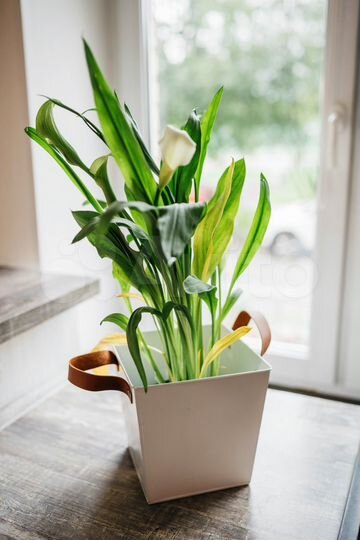 Свободного назначения, 25.5 м²