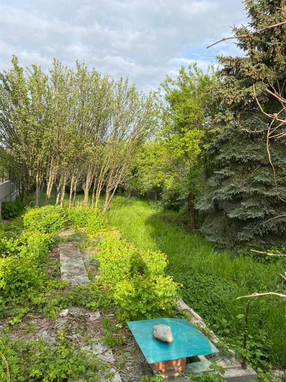 Дом 200 м² на участке 12 сот.