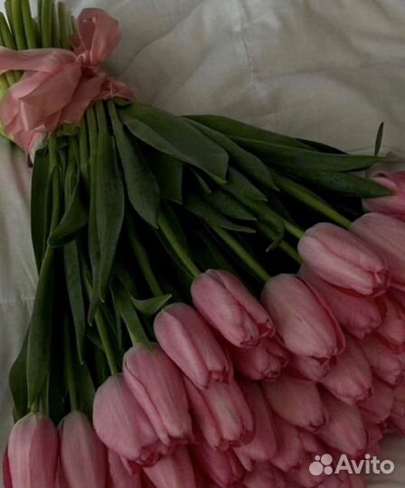 Тюльпаны к 8 марта розница