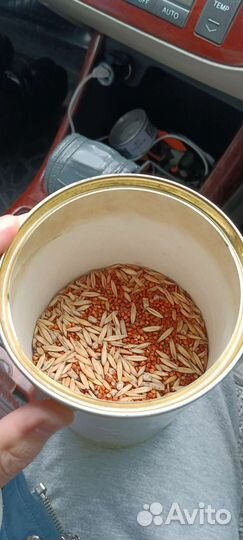 Корм для попугаев, мышей, хомяков