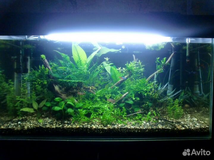 Аквариум 120 литров