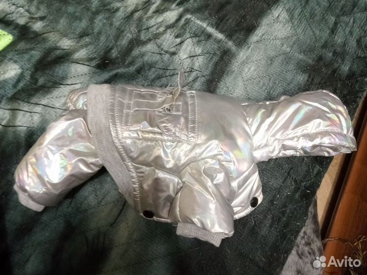 Комбинезон для маленькой собачки