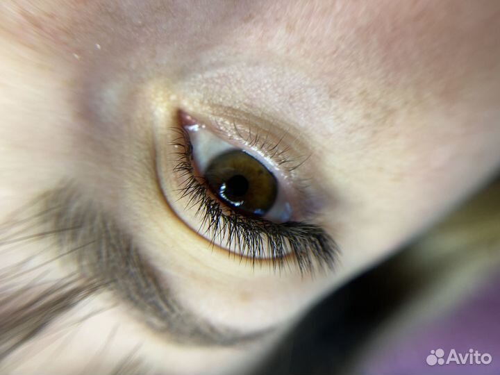 Наращивание ресниц/ оформление бровей