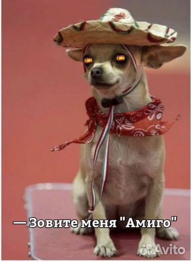 Репетитор по испанскому языку