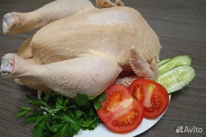 Домашний бройлер