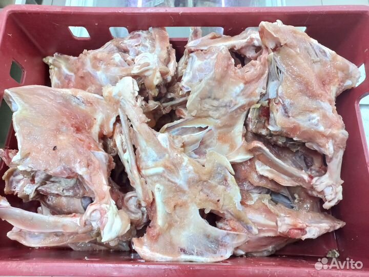 Индейка, курица, кости