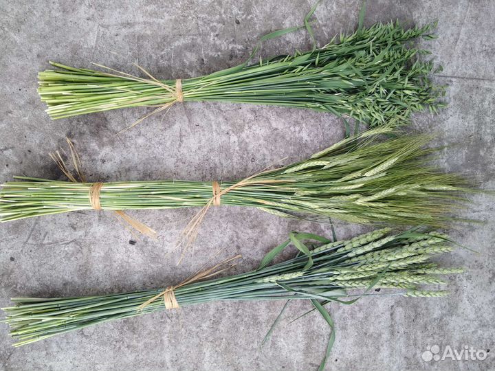 Букет из сухоцветов