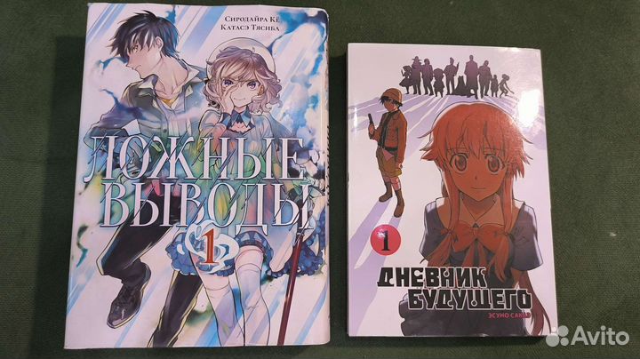 Манга: Ложные выводы, Дневник будущего