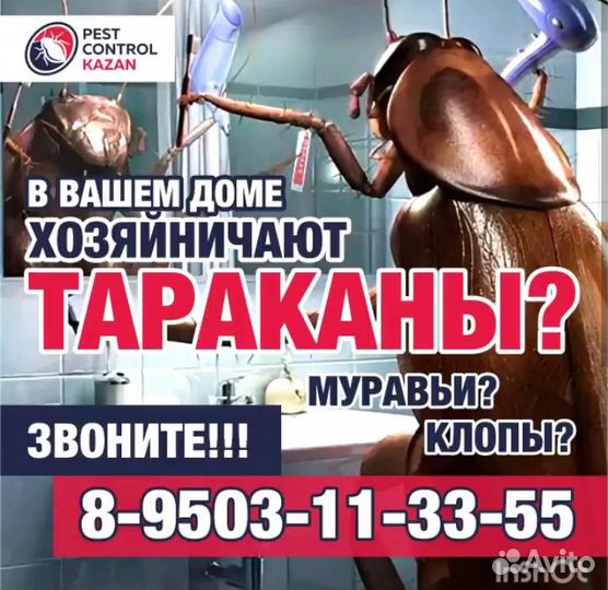 Уничтожение тараканов, клопов всех видов насекомых