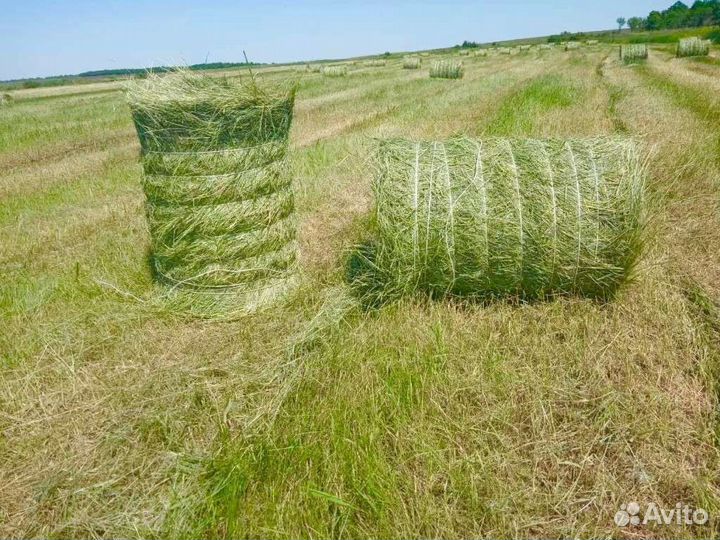 Сено в тюках