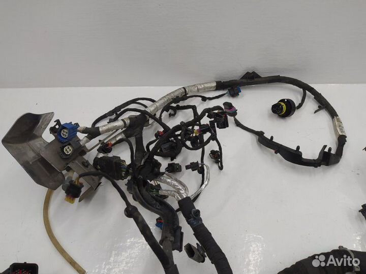 Б/У Б/У Проводка двигателя англия с двигателя