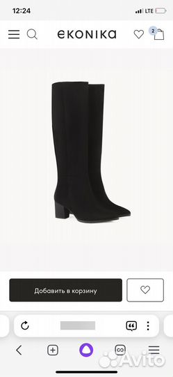 Сапоги зимние эконика