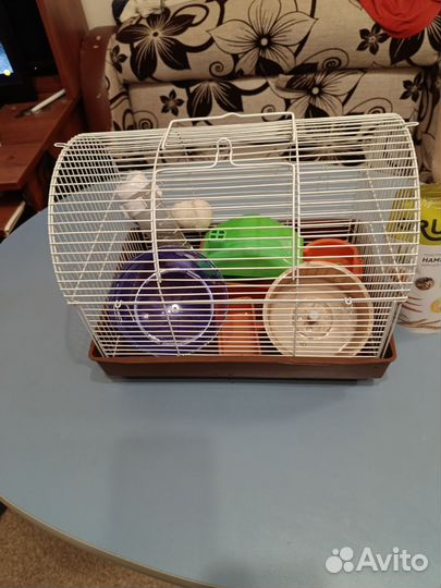 Клетка для грызунов бу