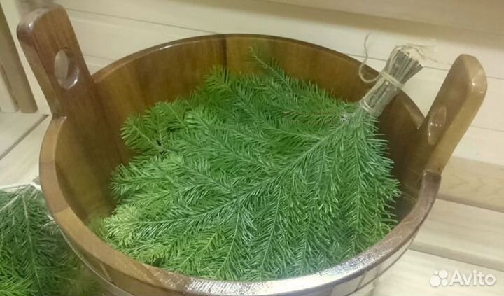 Лапник пихтовый