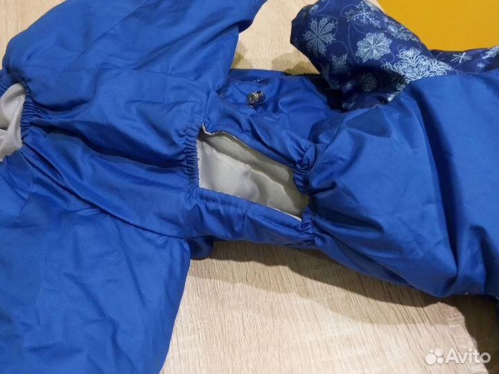 Одежда для собак