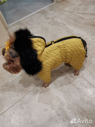 Зимний комбинезон для собак