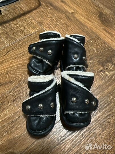 Ботинки для собак