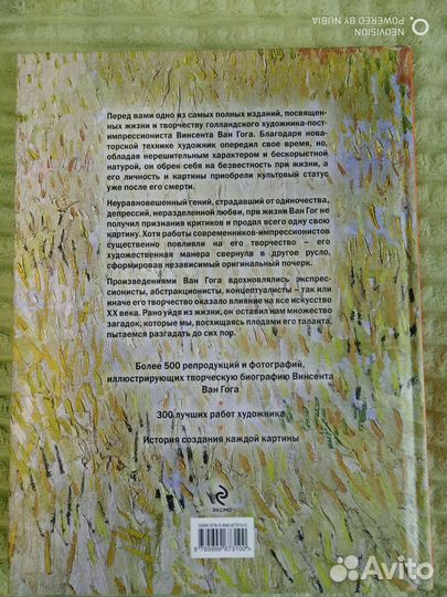 Книга о художнике, Ван Гог