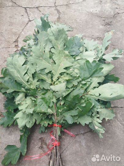 Веники для бани