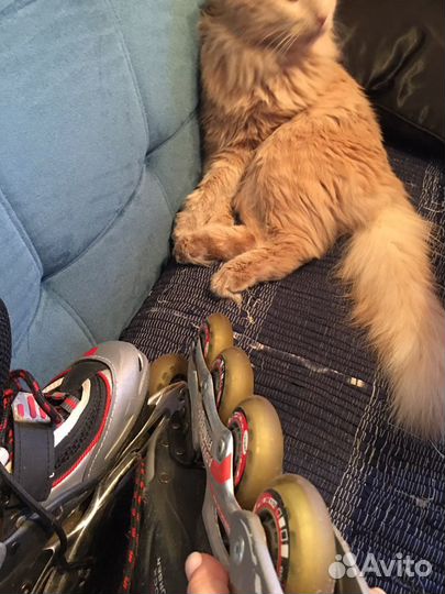 Коньки роликовые advanted fitness 36р