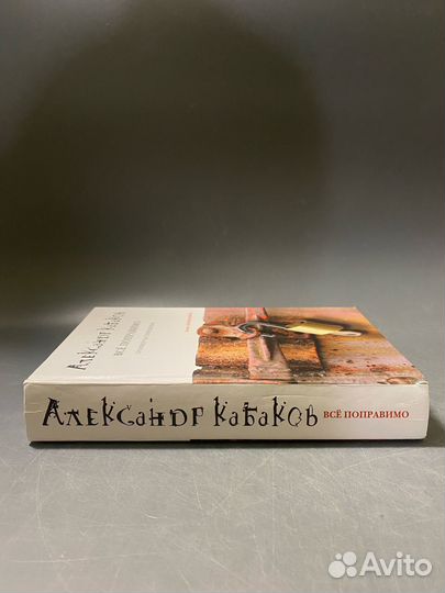Александр Кабаков Всё поправимо