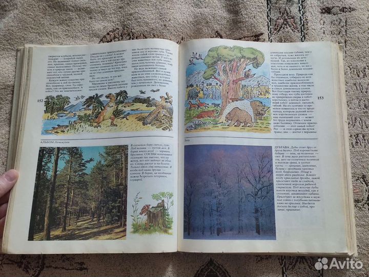 Книга Почемучка Дитрих, Юрмин, Педагогика 1988