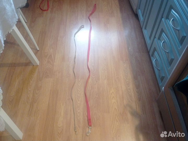 Поводок для собак