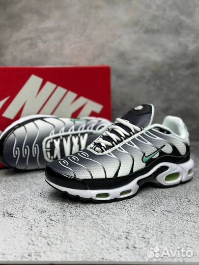 Кроссовки Nike Air Max Tn Plus