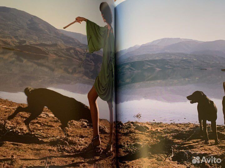 Книга Vogue The Shoe