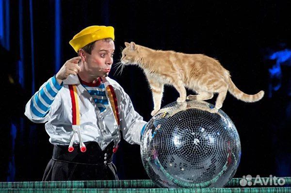 Билеты в театр Куклачева