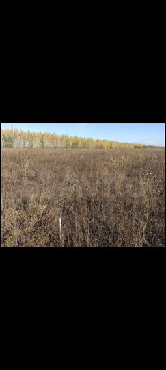 Участок 7,5 сот. (ИЖС)