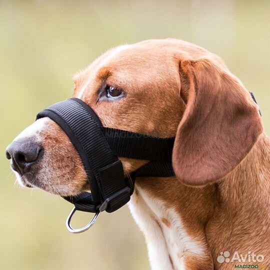 Trixie Намордник-петля нейлоновый 28-38 см XXL