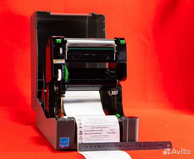 Принтер этикеток TSC TE-200, термотрансферный
