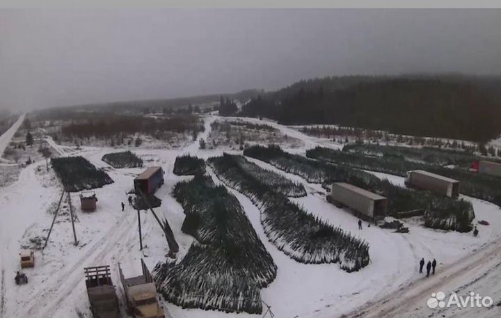 Новогодняя Ель Елка оптом