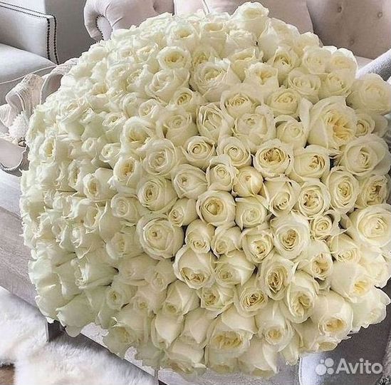 Длинные высокие розы 110 150 160 180 200 см