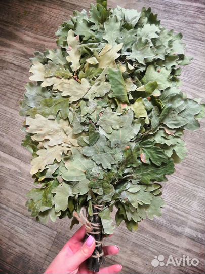 Веники дубовые