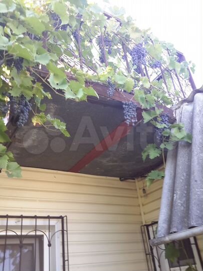 Дом 60 м² на участке 4 сот.