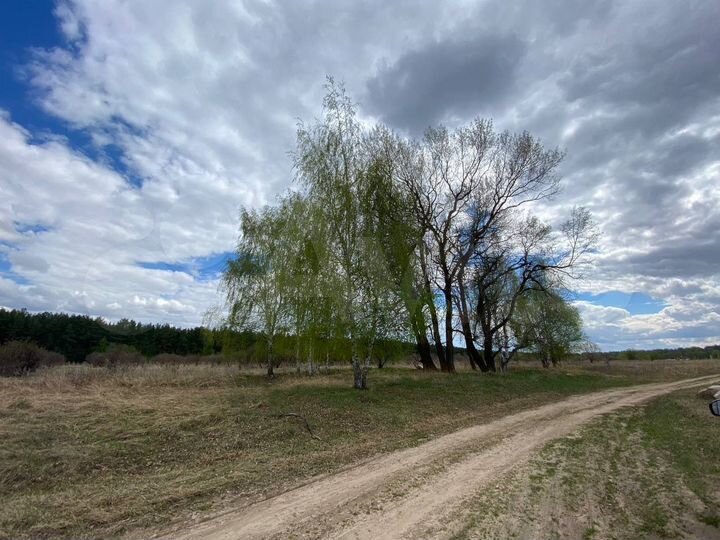 Участок 10 сот. (ИЖС)