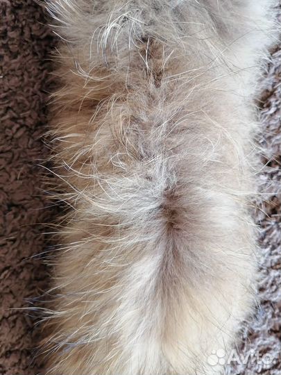 Мех, опушка от куртки