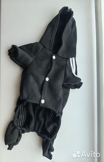 Костюм для собаки