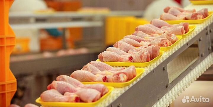 Дезинфектор на птицефабрику.Вахта