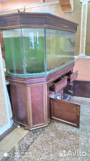 Аквариум с тумбой бу 1000 лит