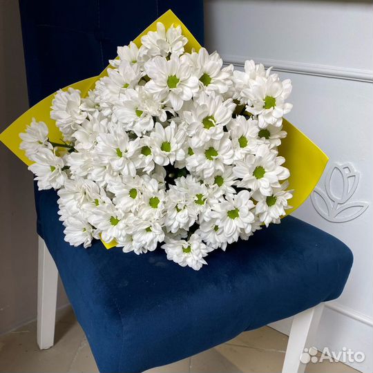 Букет ромашек M. Цветы. Доставка