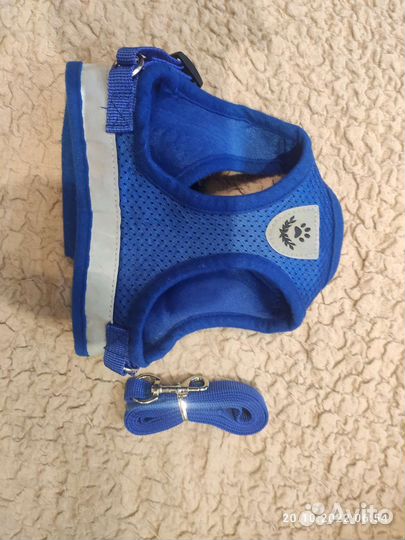 Шлейка и рулетка