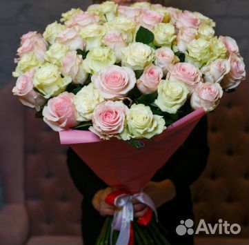 Доставка 51 бело-розовая роза №464