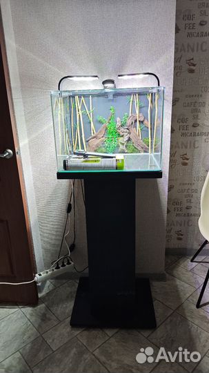 Аквариум dennerle 70л с тумбой