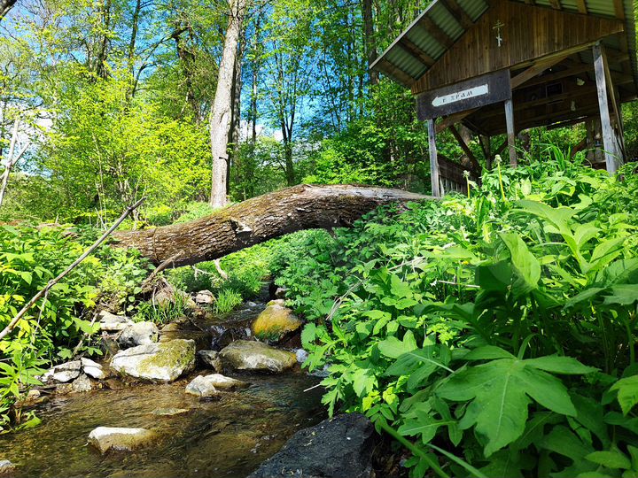 Участок 28 сот. (ИЖС)